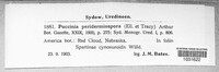 Puccinia peridermiospora image